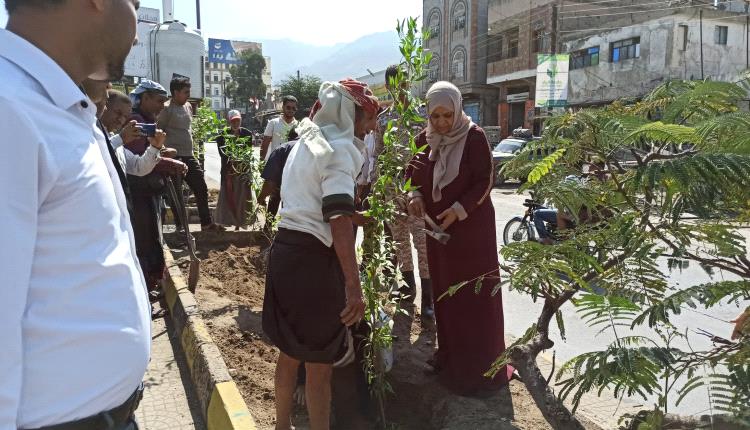 تدشين مشروع تشجير عدد من شوارع تعز 