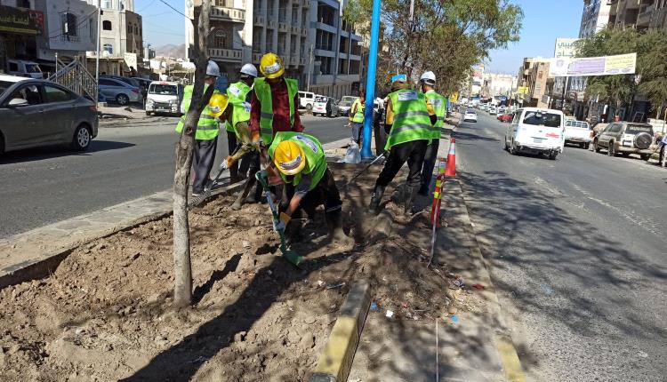 صندوق النظافة يدشن تأهيل أحواض الأشجار في شوارع تعز 