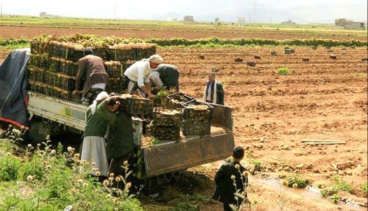 خبر هام من السعودية يسعد شريحة كبيرة من اليمنيين